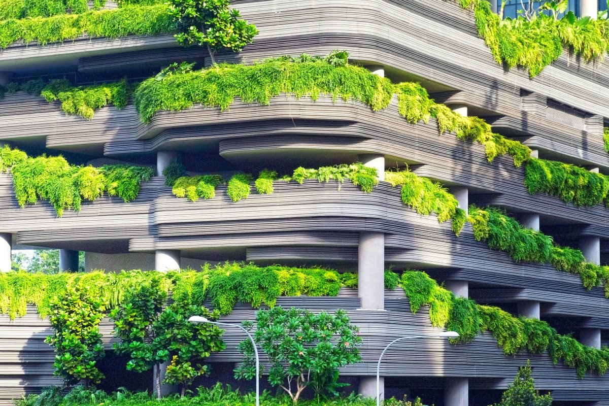As cidades do futuro serão regenerativas